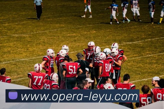 乐鱼体育品牌故事