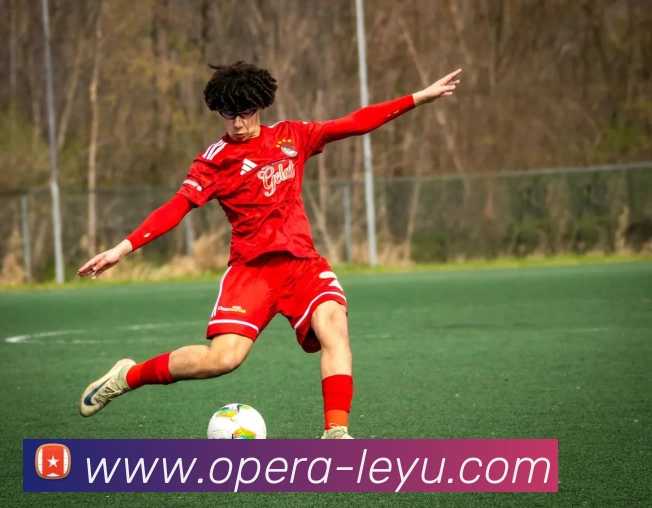 乐鱼体育服务体系